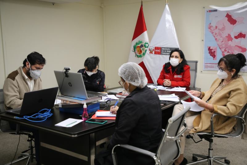 MIMP Y PNUD presentan estudio sobre el impacto de la pandemia del covid ...